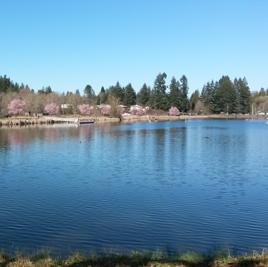 Random pond in Oregon